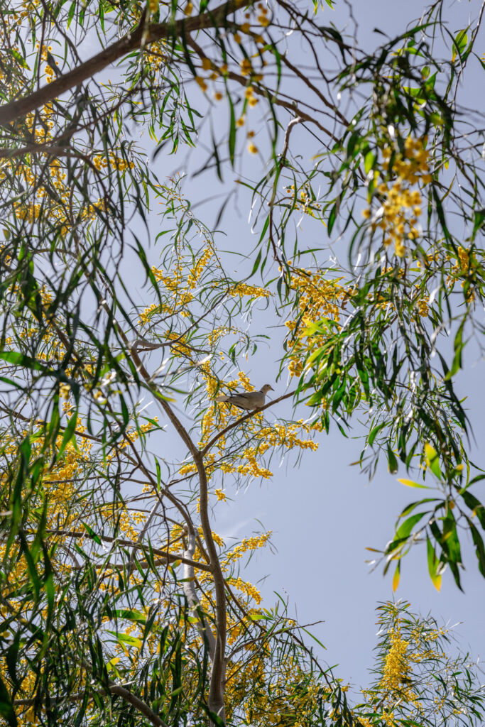 CanSastre_HIGHRES-135